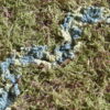 CHEMINEMENT (Mousse) – Image 4