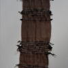 ÉCUME (Algues)